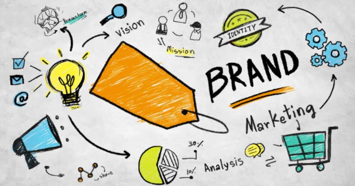 Understanding the Impact of Brand on Weight Valuation