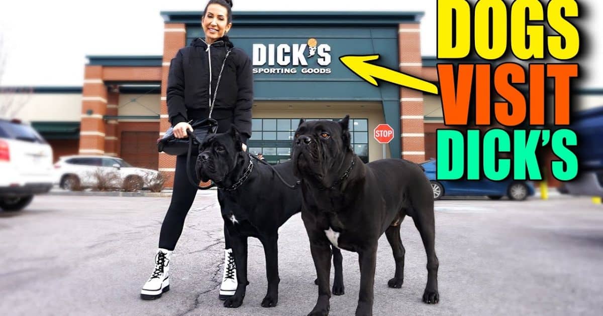 Customer Experiences With Dogs at Dick's