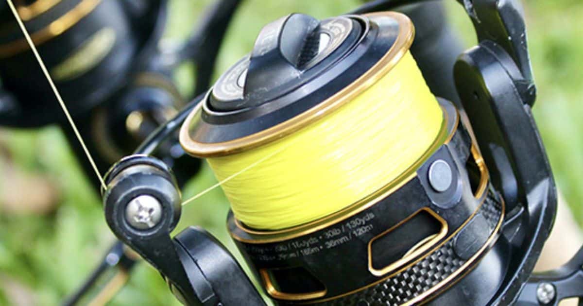 The Importance of Having Line on Your Fishing Reel